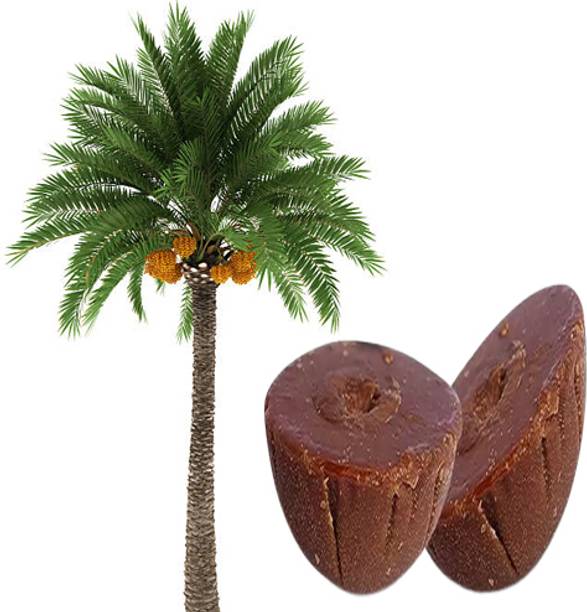 Poloo Premium Khajur Patali Gur (1.5Kg ) | Dates Palm Jaggery| Palm Jaggery Block Jaggery