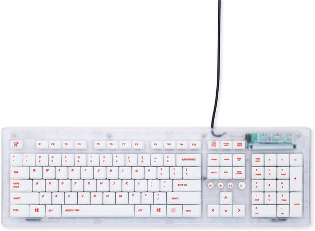 Arctic Fox FAFKEYTRAWW00101E Wired USB Standard Desktop Keyboard Compatible with Desktop, Laptop, Mac stand support,multimedia_keys,Crystal Wired Keyboard
