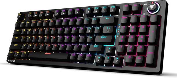 EVOFOX Katana X2 Mechanical Dynamic Backlighting Wired USB Standard Gaming Keyboard Compatible with Desktop, Laptop