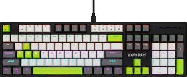 zebion SPEAR,25 Anti Ghosting Keys, 16 Lighting Effects, Type C Braided Cable Wired USB Standard Gaming Keyboard Compatible with Desktop, Laptop, Tablet, Mac