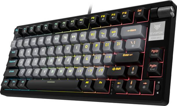 EVOFOX Ronin TKL RGB Mechanical Wired USB Tenkeyless Gaming Keyboard Compatible with Desktop, Laptop, Mac (Black)
