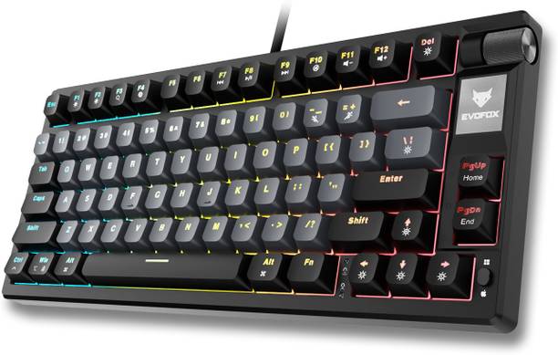 EVOFOX Ronin TKL RGB Mechanical Wired USB Tenkeyless Gaming Keyboard Compatible with Desktop, Laptop, Mac