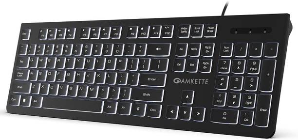 AMKETTE Wi-Key Backlit Wired USB Standard Laptop Keyboard Compatible with Desktop, Laptop, Tablet, iPad, Mac multimedia_keys,Wi-Key Backlit