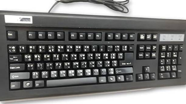 NIMNOM Gold for Rough Use Wired USB Standard Multi-device Keyboard Compatible with Desktop