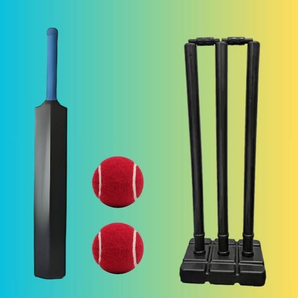 SS SKULL Complete Kids Cricket Kit Plastic Bat Ball Stumps Set (Black) Cricket Kit