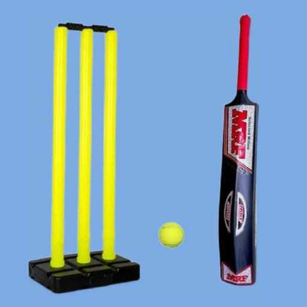 LIONER Full Size 14+ Years 1 Hard Plastic Bat CRICKET S...