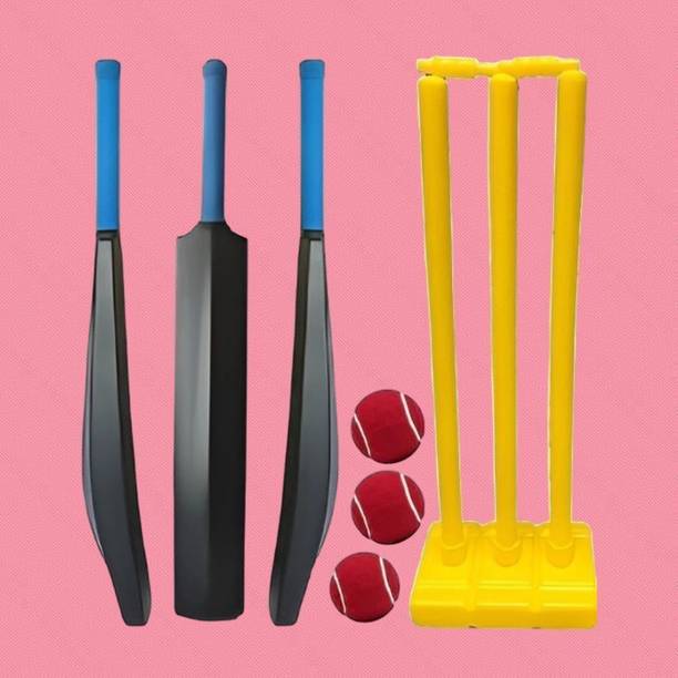 SS SKULL Cricket Bat PVC with Stump Set & 3 Tennis Balls Cricket Kit