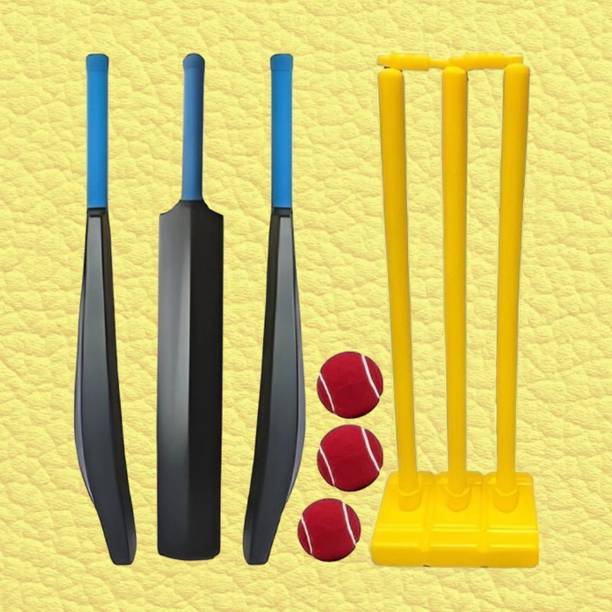 SS SKULL Cricket Kit Combo PVC Bat Wicket & 3 Balls Cricket Kit