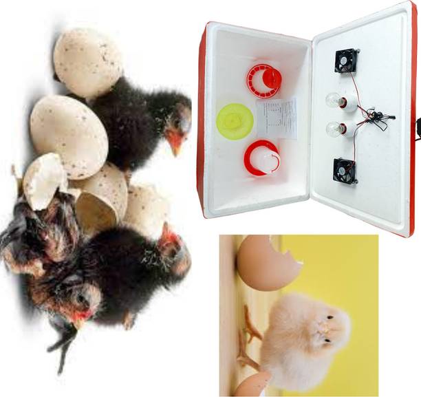 TM&W EPS Th Body 100 chicken capacity and quail egg Egg Incubator 1 feeder 1 drinker Laboratory Incubator