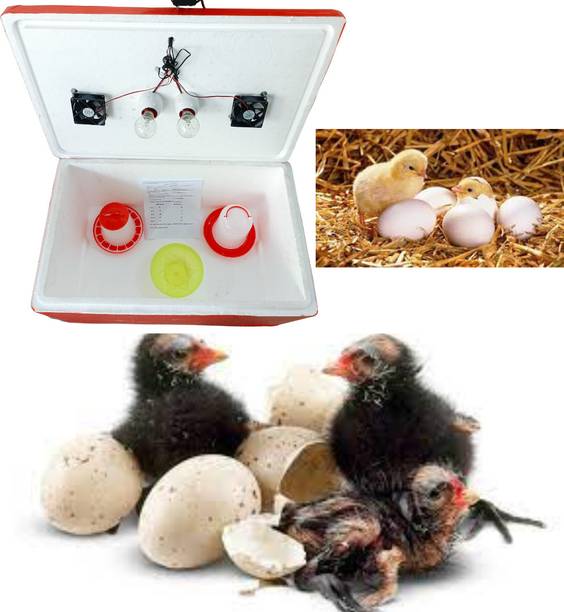 TM&W 100 egg semi automatic EPS THM two fan, holder 1.5 kg feeder and 1.5 Ltr drinker Laboratory Incubator