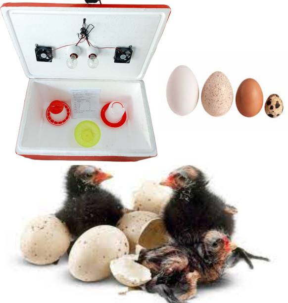 HUMBE&CO 100 Eggs Semi Automatic, Egg Incubator Durable EPS Th Body Egg Incubator, Egg Incubator