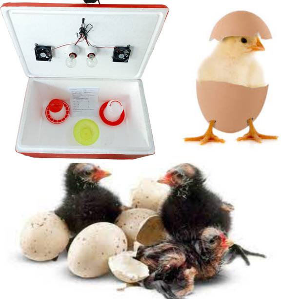 HUMBE&CO Double Holder 100 Egg Semi Automatic, Incubator With Drinker&Feeder free, Egg Incubator