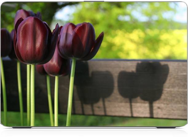 i-Birds ® tulip Exclusive High Quality Laptop Decal, laptop skin sticker 15.6 inch (15 x 10) Inch iB-5K_skin_1473 High Quality HD Printed Vinyl Laptop Decal 15.6