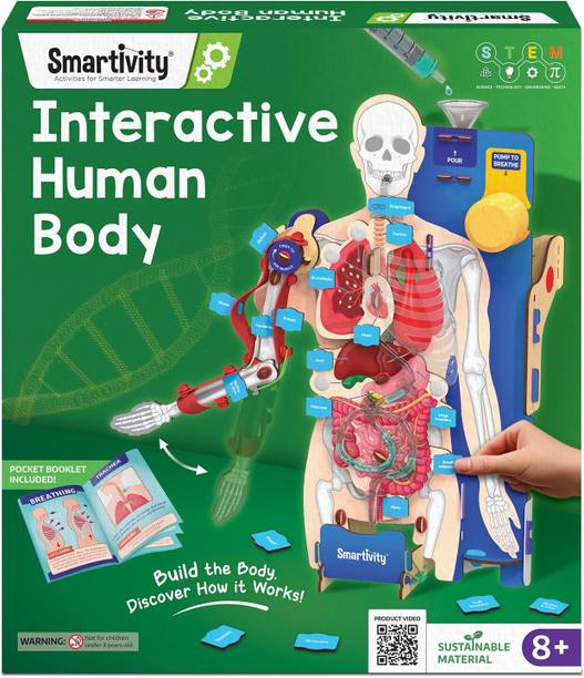 Smartivity Interactive Human Body Model for Kids 8–14 | Dynamic Organs | STEM Learning Toy