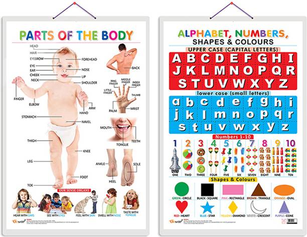 GO WOO Pack of 2 Parts of the Body and Alphabet, Numbers, Shapes & Colours charts