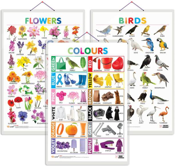 Set of 3 Birds, Flowers and Colours Early Learning Educational Charts for Kids | 20"X30" inch |Non-Tearable and Waterproof | Double Sided Laminated | Perfect for Homeschooling, Kindergarten and Nursery Students Paper Print