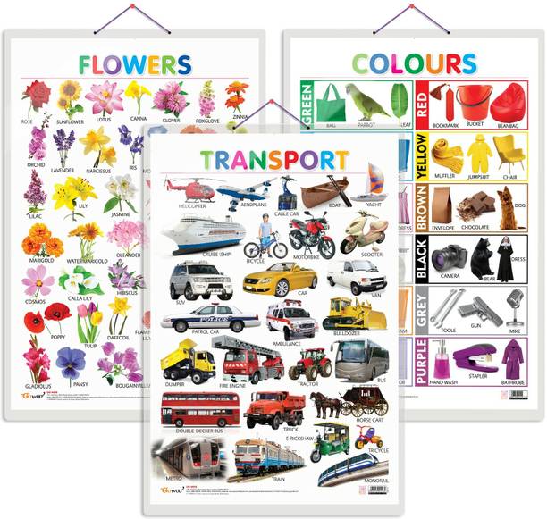 Set of 3 Flowers, Colours and Transport Words Early Learning Educational Charts for Kids | 20"X30" inch |Non-Tearable and Waterproof | Double Sided Laminated | Perfect for Homeschooling, Kindergarten and Nursery Students Paper Print