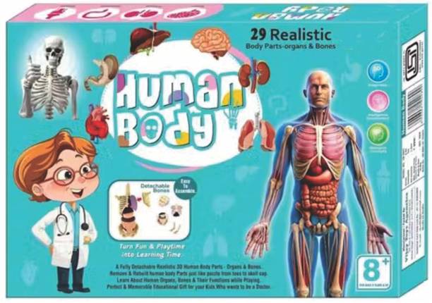 Braintastic 3D Human Anatomy Model Kit for Kids | Educational STEM Science Toy