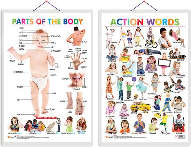 GO WOO Pack of 2 Parts of the Body and Action Words Educational charts with Lamination