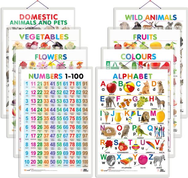 All In One Hard Laminated Educational Chart | Pack Of 8 Charts (V1)