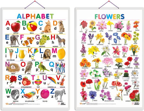 Set of 2 Alphabet and Flowers Early Learning Educational Charts for Kids | 20"X30" inch |Non-Tearable and Waterproof | Double Sided Laminated | Perfect for Homeschooling, Kindergarten and Nursery Students Paper Print