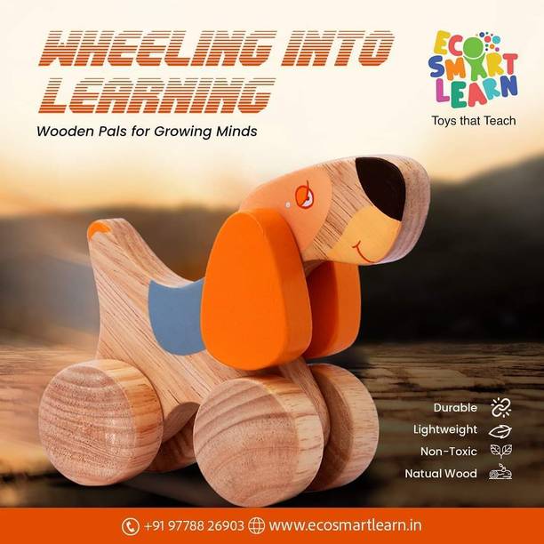 ecosmartlearn Jango THE DOG