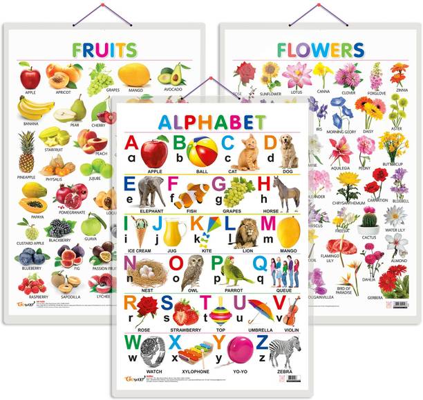 Set of 3 Alphabet, Fruits and Flowers Early Learning Educational Charts for Kids | 20"X30" inch |Non-Tearable and Waterproof | Double Sided Laminated | Perfect for Homeschooling, Kindergarten and Nursery Students Paper Print