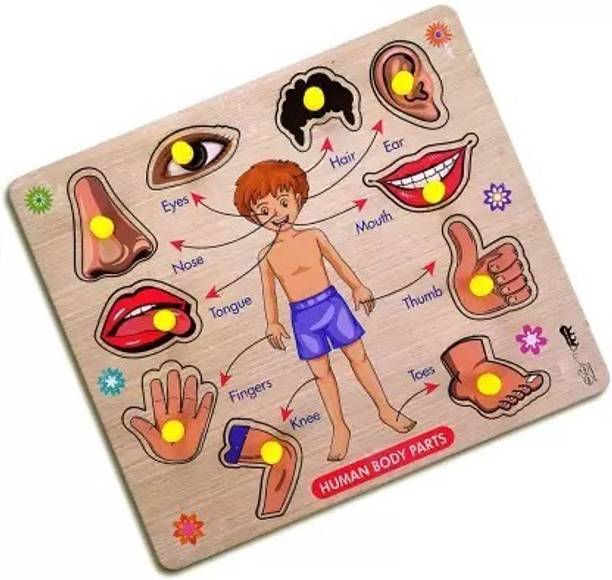 Shreevi Body Part Puzzle Kids Wooden Toys for Kids 3 + Jigsaw Puzzles