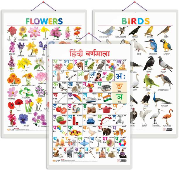 Set of 3 Birds, Flowers and Hindi Varnamala Early Learning Educational Charts for Kids | 20"X30" inch |Non-Tearable and Waterproof | Double Sided Laminated | Perfect for Homeschooling, Kindergarten and Nursery Students Paper Print