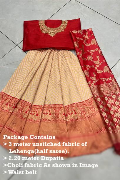 Fabcartz Self Design Semi Stitched Lehenga Choli - Image 5