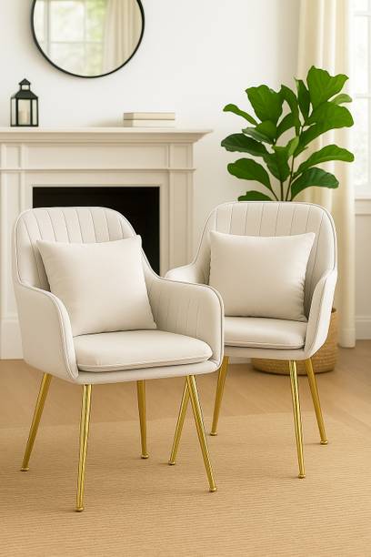 CHAIR DECOR Metal Living Room Chair