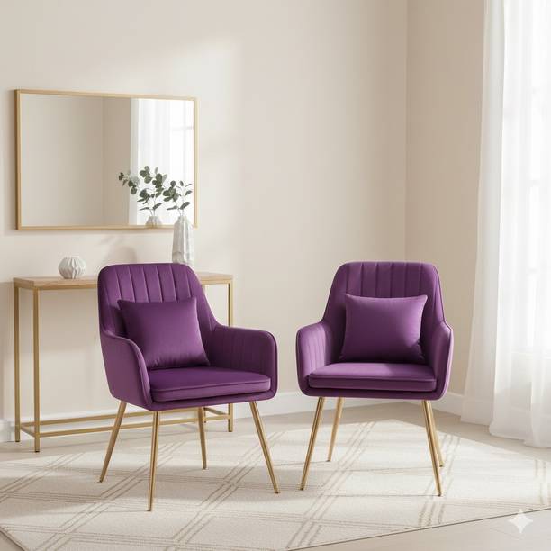Toxigo Modern Velvet Accent Chairs with Cushioned Seat and Metal Legs Fabric Outdoor Chair