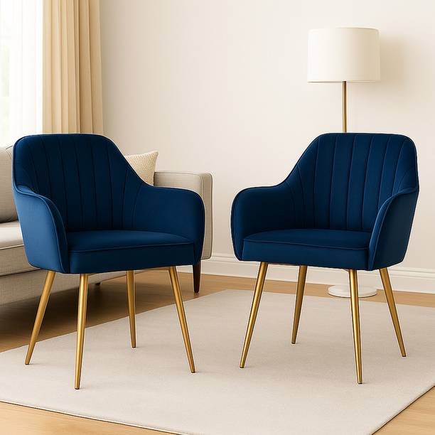 CHAIR DECOR Foam Living Room Chair