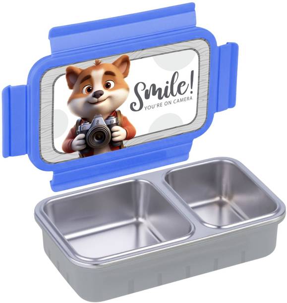 Homeness 4D Bento Kids Lunch Box, BPA Free, Advance Coating with 2 Compartment 1 Containers Stainless Steel School Lunch Box