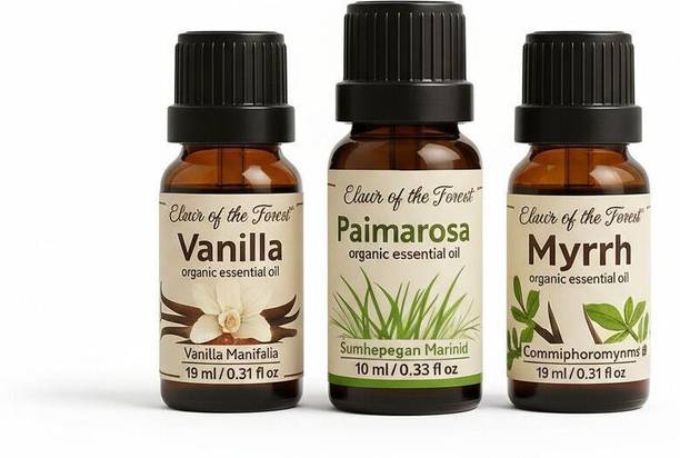 Holiday Fig Essential Oil | Vanilla, Palmarosa & Myrrh | 100% Pure Natural