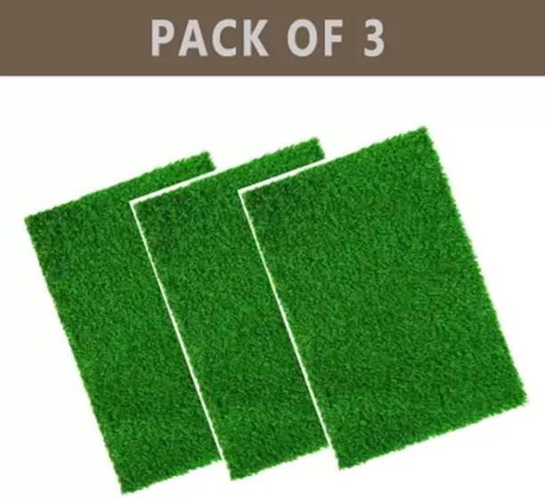 CHETANYA LOOMTEX Green Polypropylene, PVC Area Rug