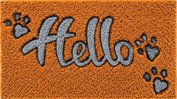HarmishEnterprises Microfiber Floor Mat