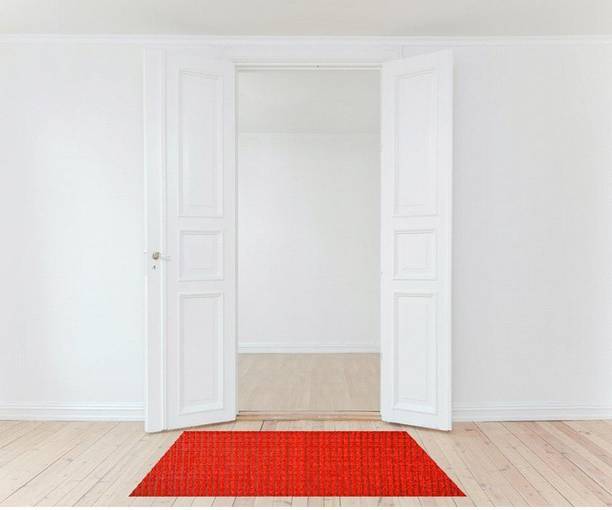 shanti industries PVC (Polyvinyl Chloride) Floor Mat