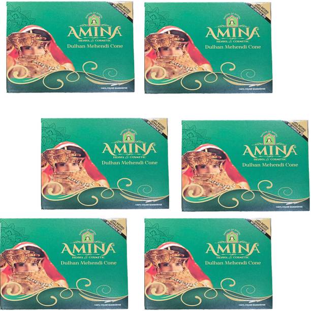NG MART AMINA GREEN MEHENDI CONE FOR BRIDE HANDS ,LEGS STYLISH PACK OF - 6 Natural Mehendi