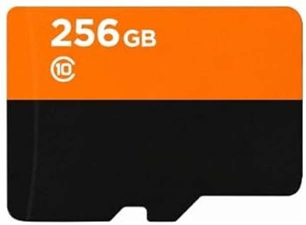 ZOLDYCK mmmm256 1 256 GB Class 3 Class 10 100 MB/s Memory Card Compatible with Camera, Computer, Gaming Console, Mobile, Tablet