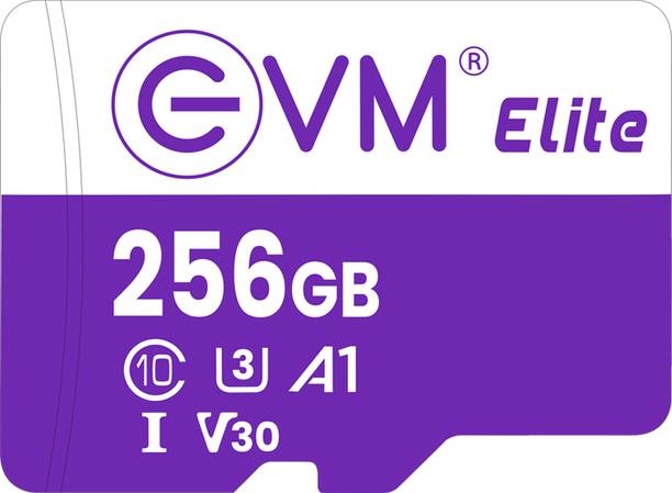 EVM EETF/256GU3 MEMORY CARD 256 GB TF Card Class 10 100 MB/s  Memory Card Compatible with Computer