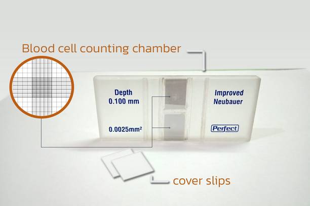 USEFUL Human Cell Counting Chamber 16 large squares Laboratory Watch Glass