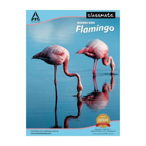 Classmate Longbook A4 Notebook Single Line 240 Pages Multicolor, Pack of 6