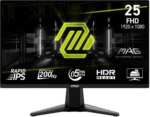 MSI 63.5 cm (25 inch) Full HD IPS Panel Gaming Monitor (MAG 255F E20)