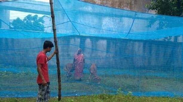 चिराग Mosquito net for pet Animals Tent/Machardani Cow/Buffalo (20x10x10) HDPE - हाई डेंसिटी पॉली एथिलीन के लिए बनाया गया मॉस्कीटो नेट