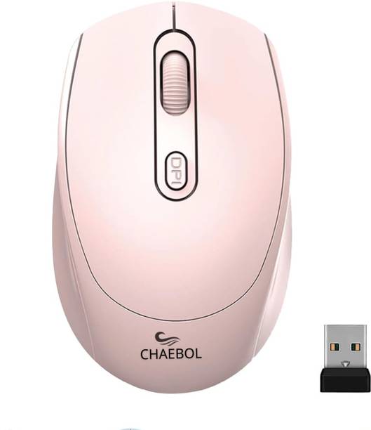 Chaebol Wireless Mouse, 2.4G, Silent, Computer, USB Nano Receiver for Laptop Ambidextrous Optical Mouse