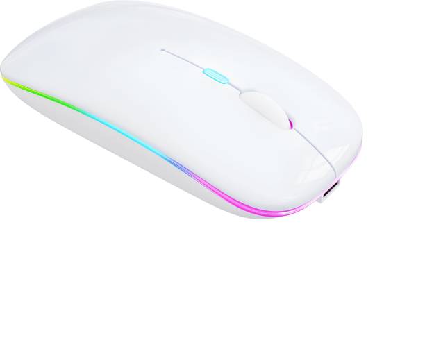 ELECTRO WOLF Rechargeable Wireless Mouse with RGB LED Backlit Silent Click,1600 DPI Ergonomic Wireless Ambidextrous Optical  Gaming Mouse