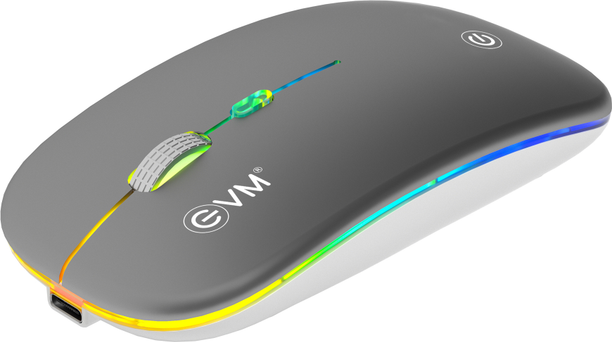 EVM EWLM-360 Wireless Ambidextrous Optical Mouse Dual-Mode Wireless,1600 DPI With Bluetooth