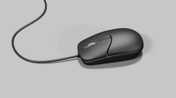 Wifton Wired USB Optical Mouse with 3 Buttons-Black Wired Ambidextrous Optical  Gaming Mouse