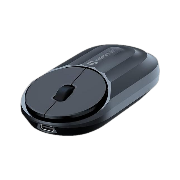 Portronics Toad 6 Ambidextrous Optical Mouse Silent Clicking